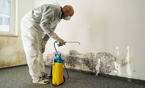 Mold Odor Removal Services in Okmulgee, OK