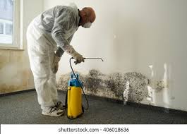 Best Forensic Mold Investigation  in Mulgee, OK